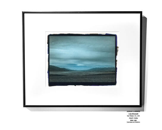 Cyanotype Installation 22