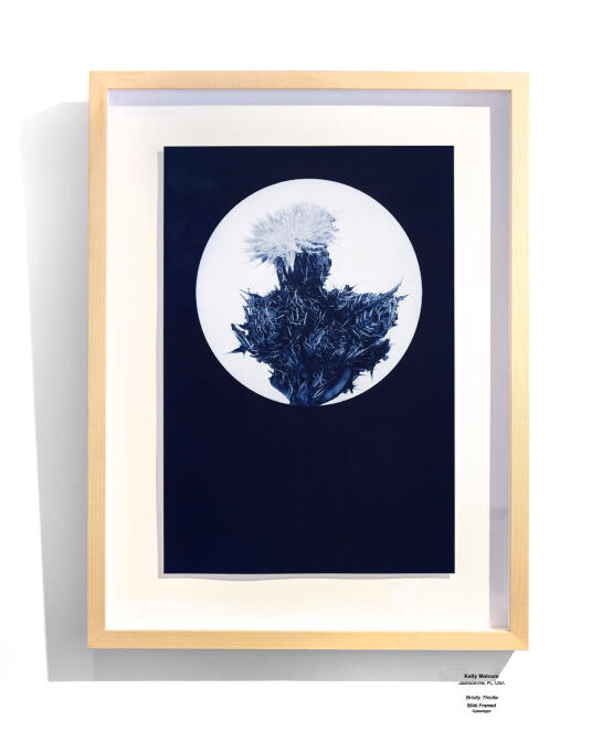 Cyanotype Installation 25