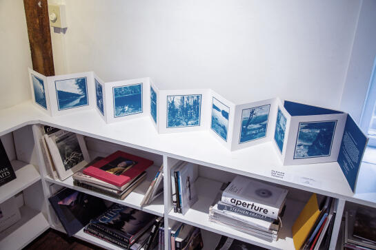 Cyanotype Installation 26
