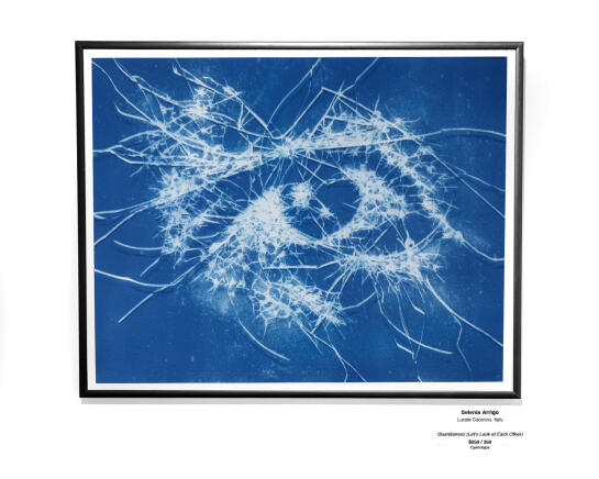 Cyanotype Installation 27