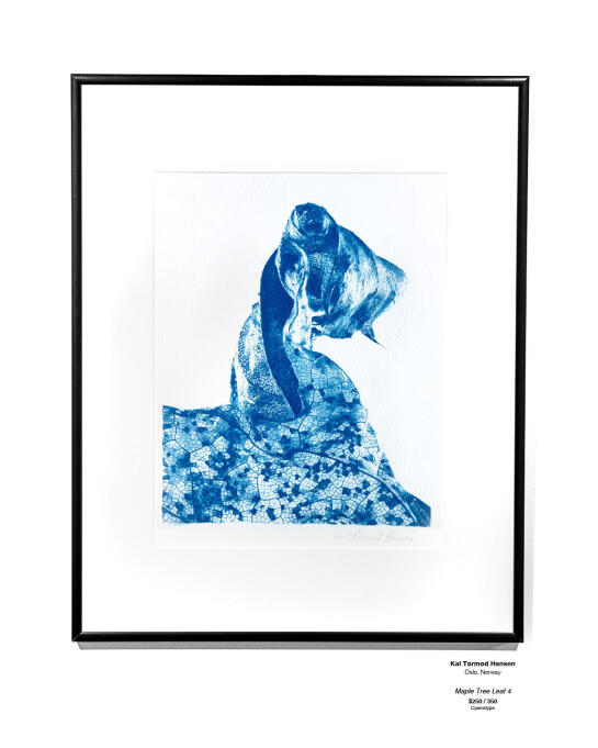 Cyanotype Installation 28