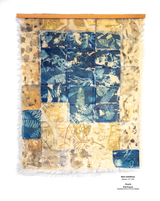 Cyanotype Installation 34