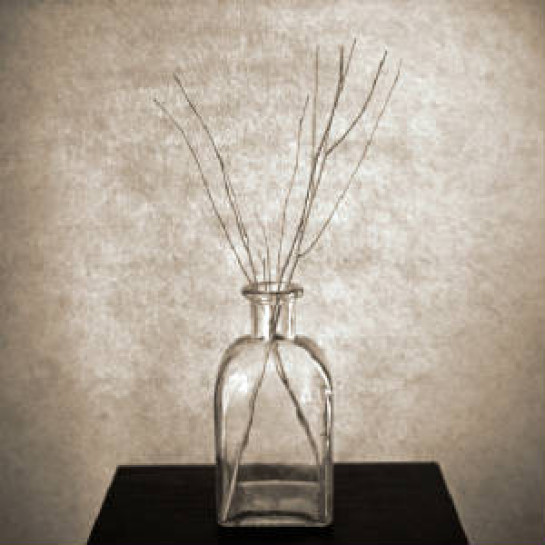 cunningham_david_morris_01_glass_bottle_with_three_twigs.jpeg.w300h300