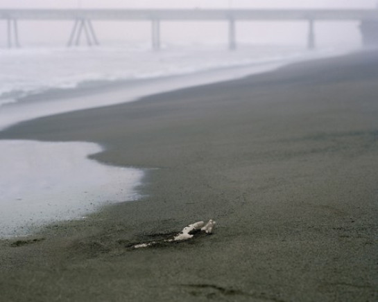 Halley_Jason_1Beach