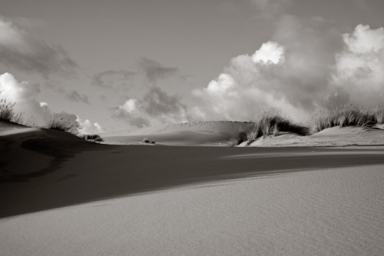 Foran_DeAnna_5Oregon Dunes