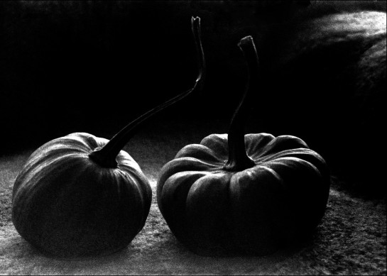 Honkanen_Jarmo_1Pumpkins