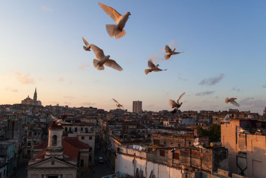 Wisniewski_Lisa_2Havana-Twilight