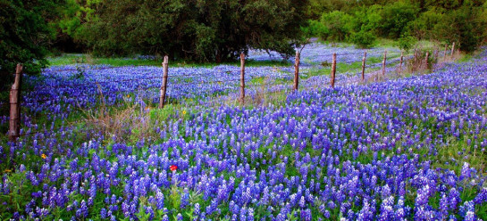 Holiday_Jon_7HillCountryHeaven