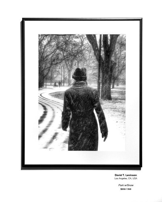 Frozen Installation 03