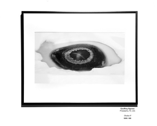 Frozen Installation 12 v2