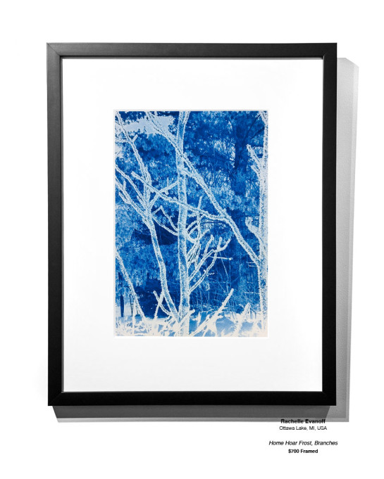 Frozen Installation 13