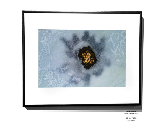 Frozen Installation 14