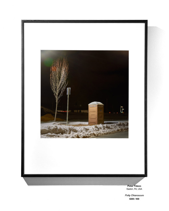 Frozen Installation 19