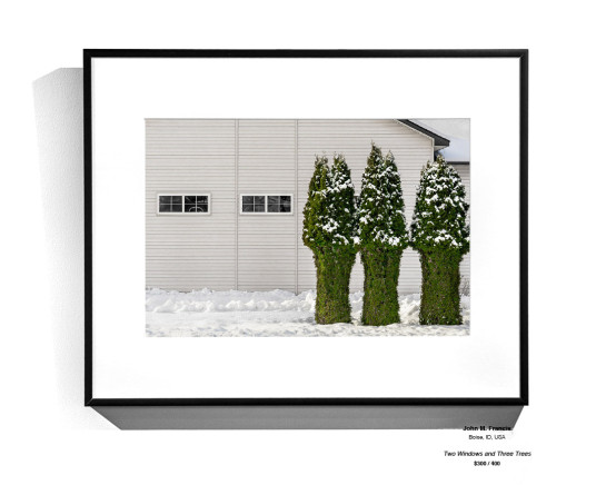 Frozen Installation 20