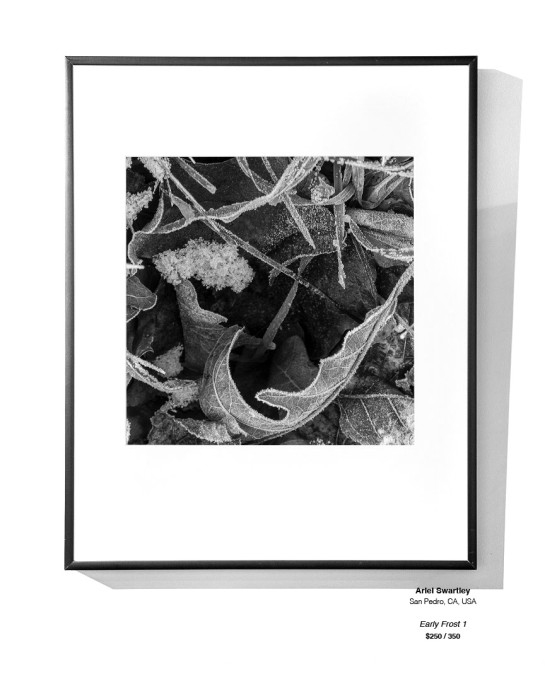 Frozen Installation 24