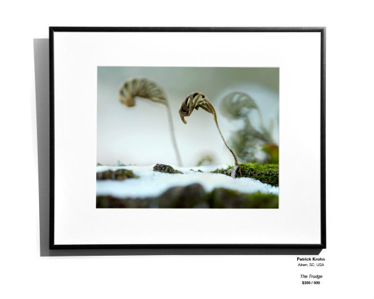 Frozen Installation 26