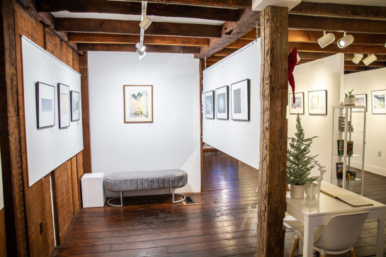 Frozen Installation 35