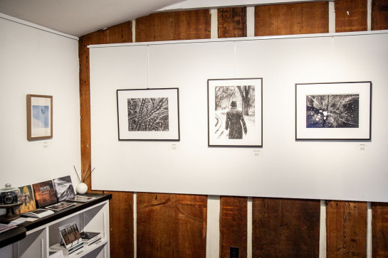 Frozen Installation 38