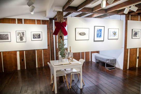 Frozen Installation 39