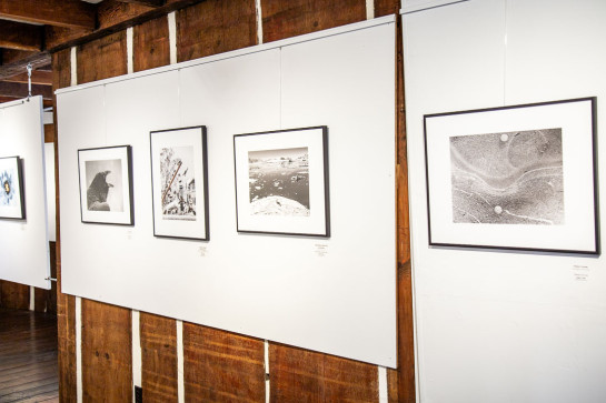 Frozen Installation 43