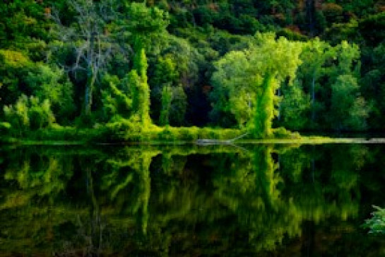 Vlach_Alan_06Connecticut-River-Brattleboro