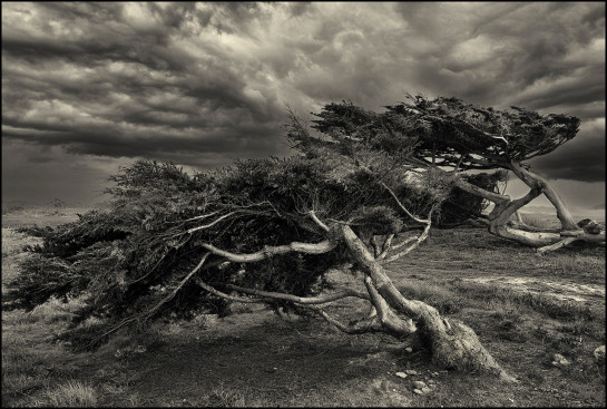 Approaching Storm Point Lobos zach