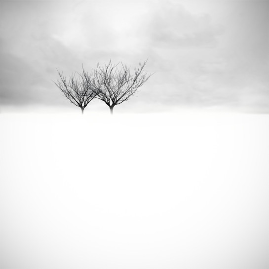 Ward_Marc_3.TwoTrees