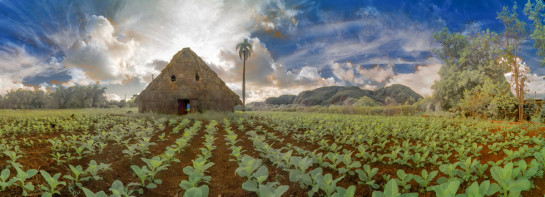 Santa Fe Photo Workshop, Picturing Cuba: Havana and Viñales with Joyce Tenneson