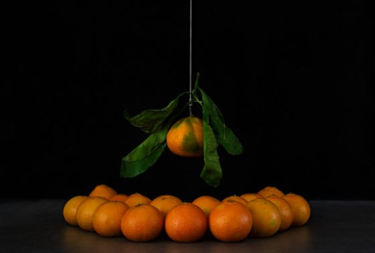 Brill_Tim_3OrangeonaString