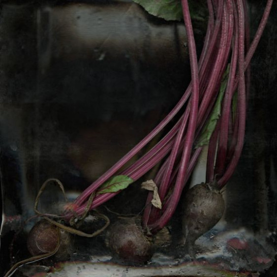 Urban_Joanne_2Beets