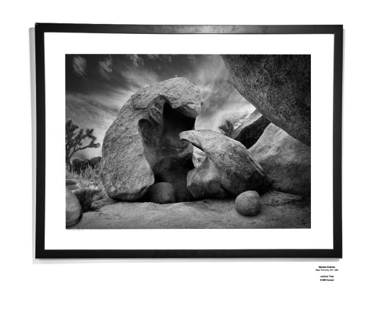 Monochrome Install 08