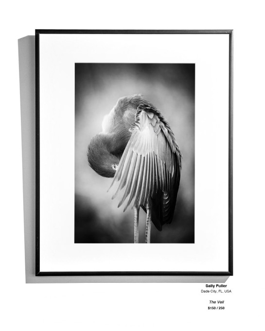 Monochrome Install 21