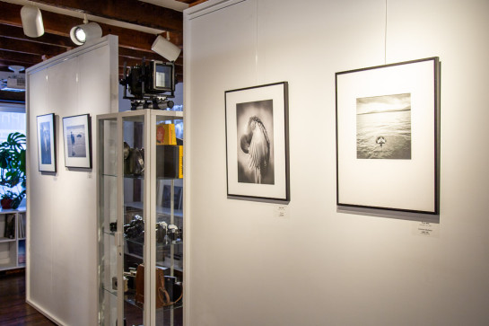 Monochrome Install 40