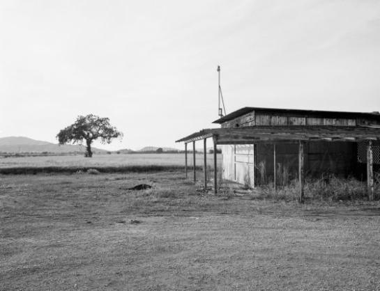 Liu_Rachel_1AbandonedFruitstand