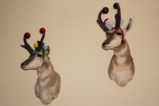 pronghorn christmas