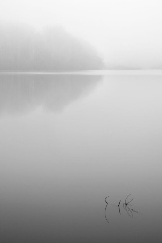 ilachinski_andrew_Stillness