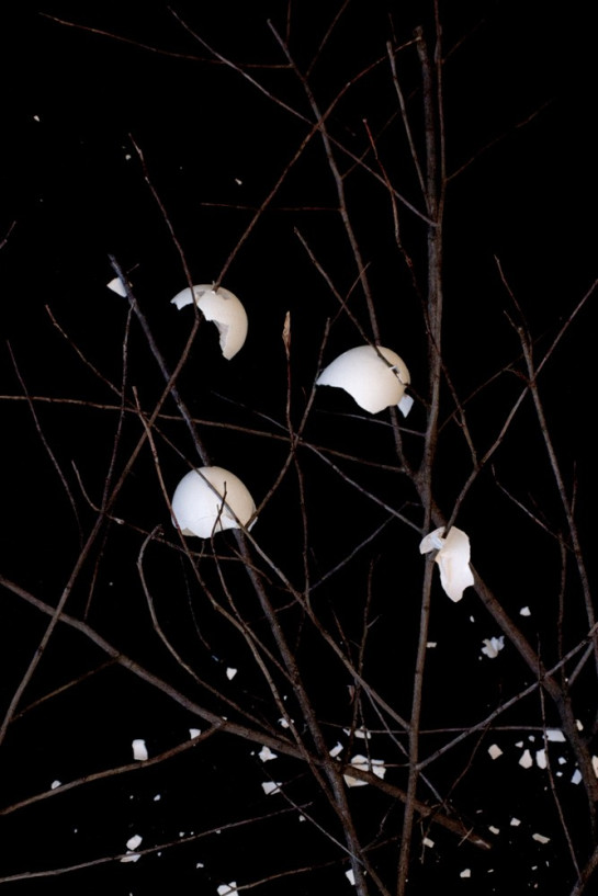 Egg Shell Trees