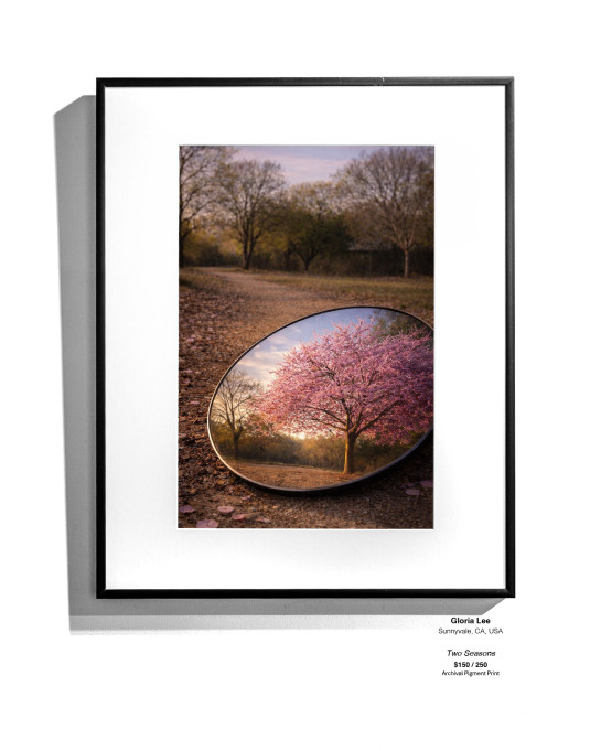 Portals Installation 25