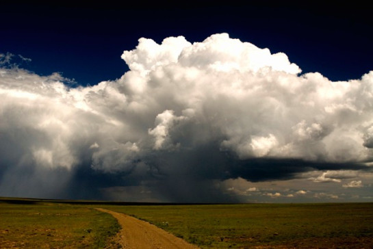 goodwin_neil_5Near-Wagon-Mound-New-Mexico