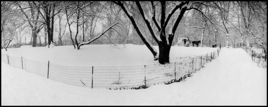 greenberg_paul_snow-central-park