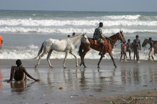 African Horse Vendors_6628