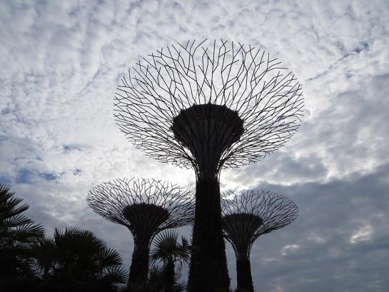 HydeSultze_JonKimberly_1SupertreesofSingapore