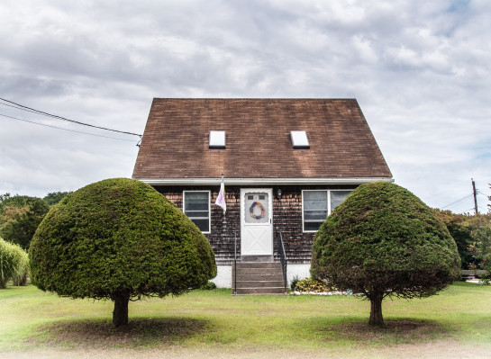 Gaines_Lynne_1ShrubHouse