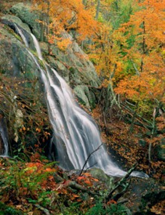 Johnston_JW_2DarkHollowFalls-Autumn