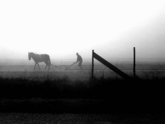 Marsili_Paula_7 Morning Chores