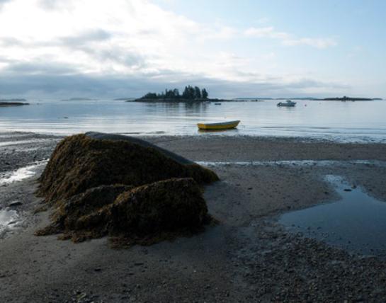 Cooke_George_6_Boulder to Boats