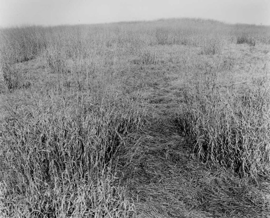 Landrey_Lonnie_6 66 Acre Landfill, Dorchester, MA.