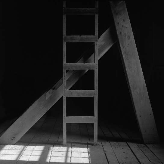 Piar_Daniel_2Ladder