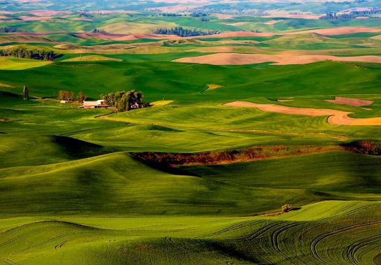 Steptoe Butte, Palouse, Washington