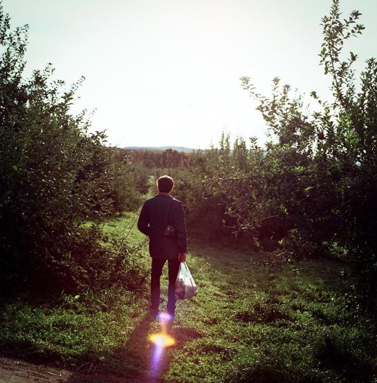 Strode_Charlotte_3Apple-Picking